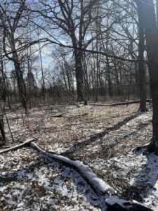 ashippun wi walking trail parcel