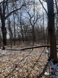 ashippun wisconsin walking trail land